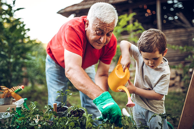 Grandfather & Grandson gardening together
